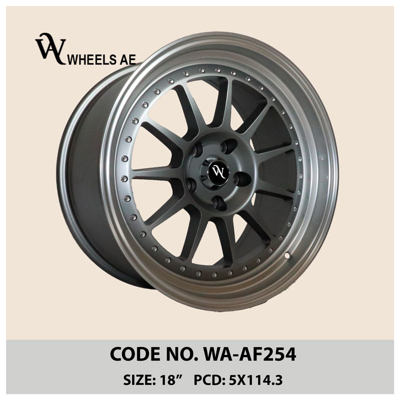 18 Inch Aftermarket Wheel WA-AF254 for Mustang, GTR, Charger & More