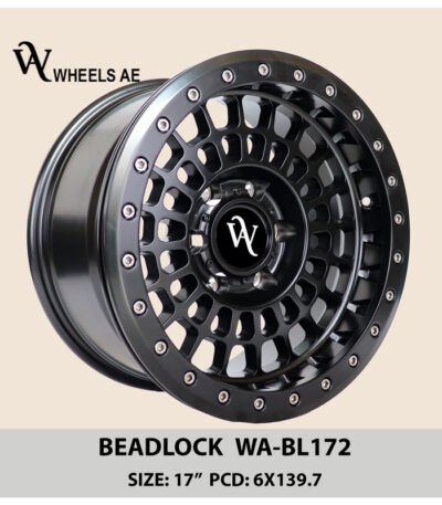 Beadlock Wheel 17x9 WA-BL172