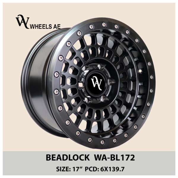 Beadlock Wheel 17x9 WA-BL172