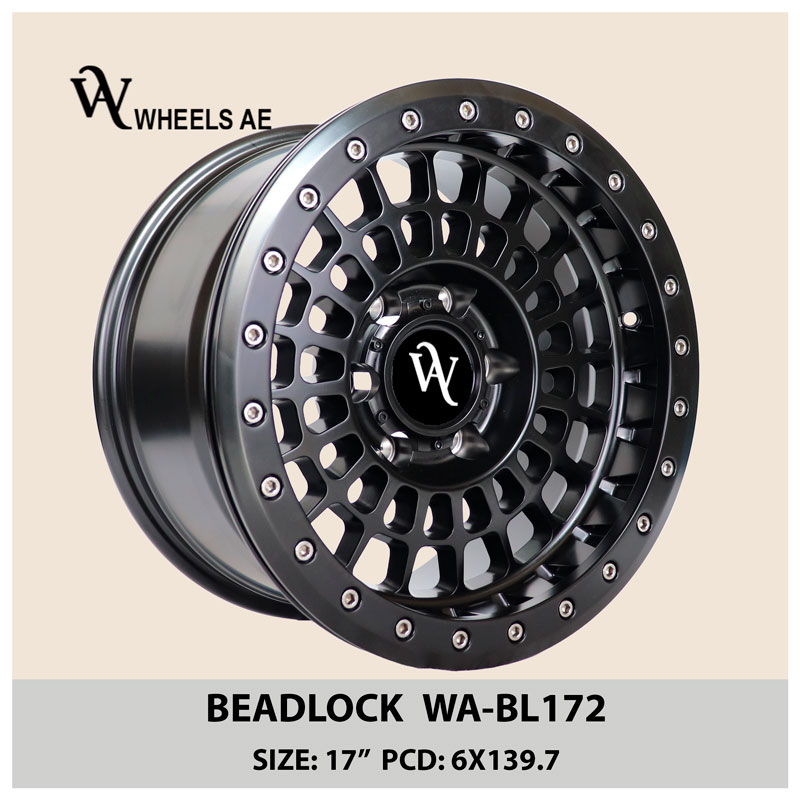 Beadlock Wheel 17x9 WA-BL172