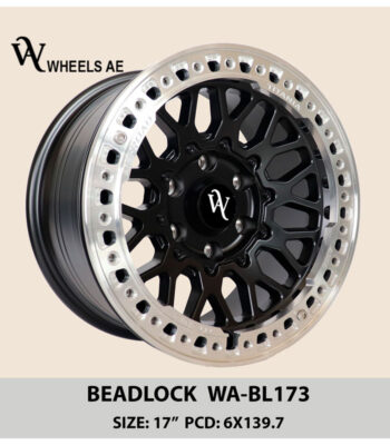 Beadlock Wheel 17x9 WA-BL173
