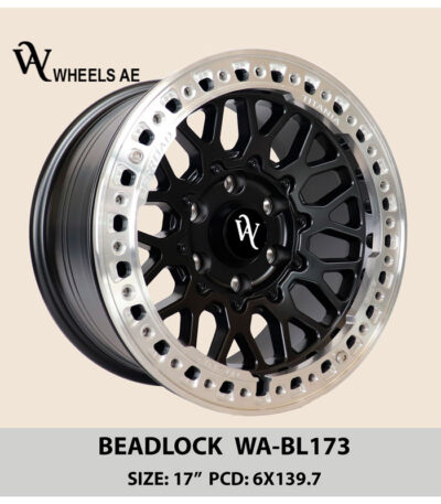 Beadlock Wheel 17x9 WA-BL173